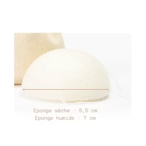 eponge konjac